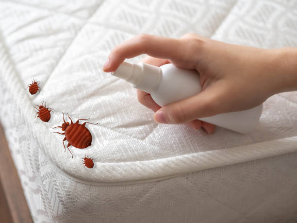 Best Pest Prevention Services  in Union City, NJ